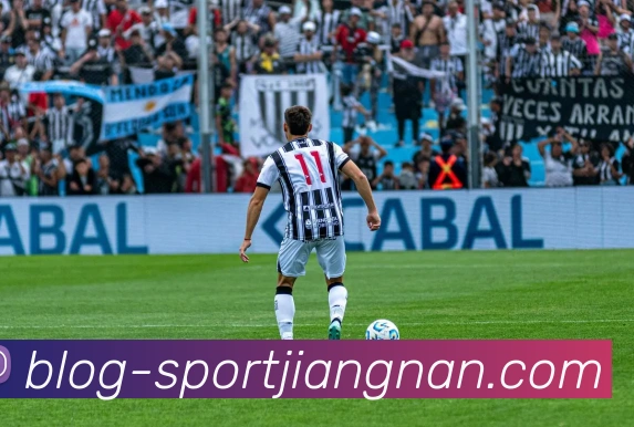 江南体育平台生态图